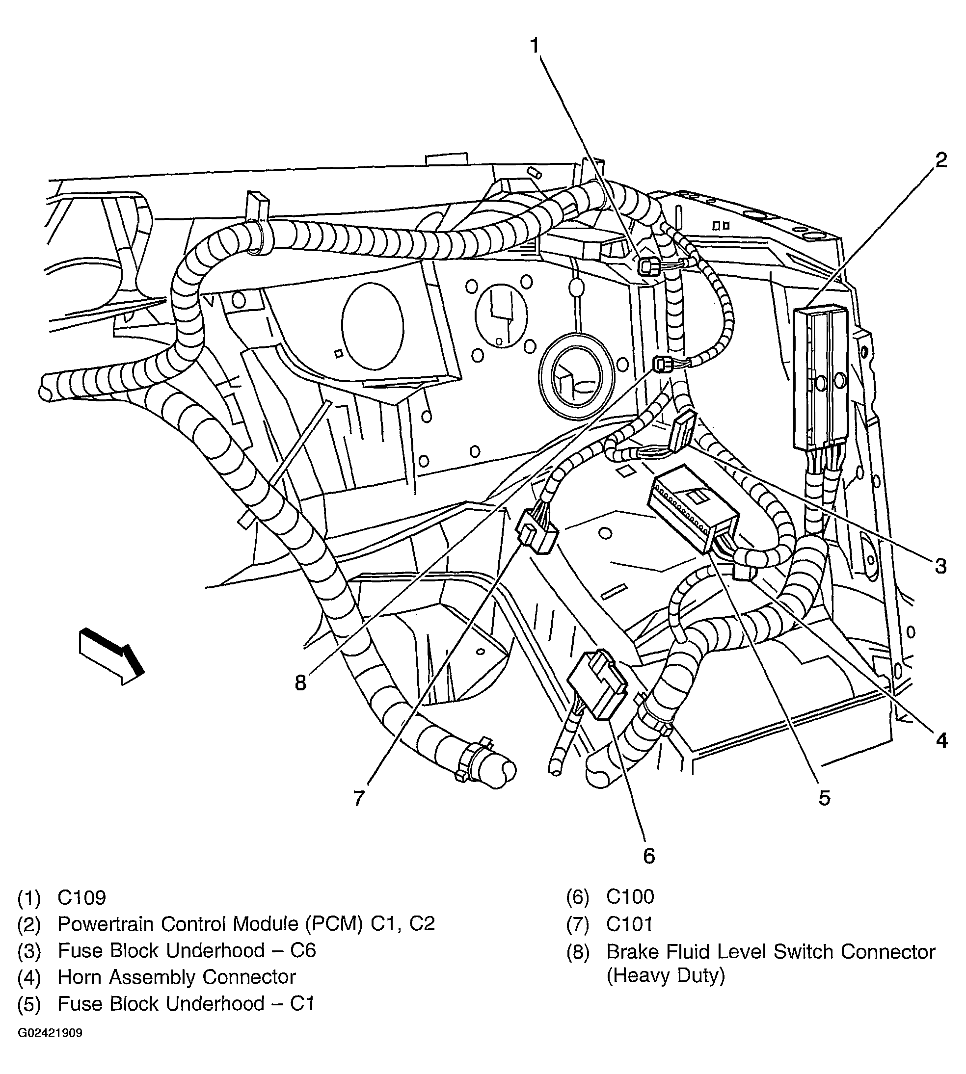 G02421909