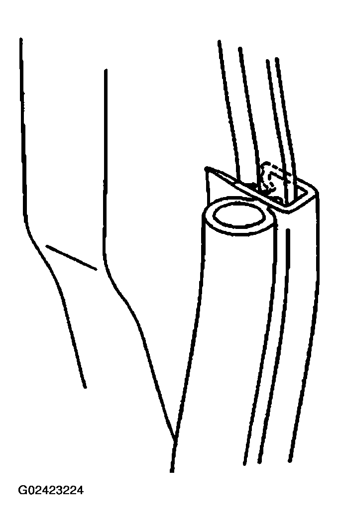 G02423224