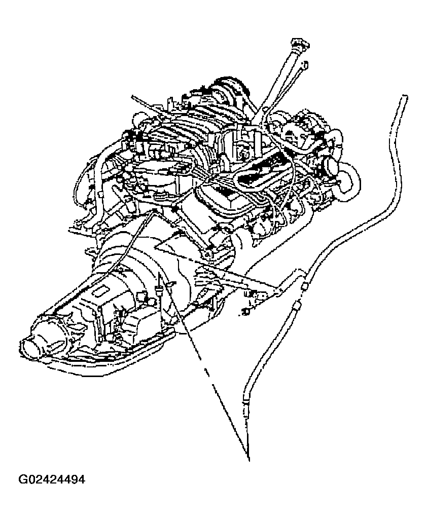 G02424494