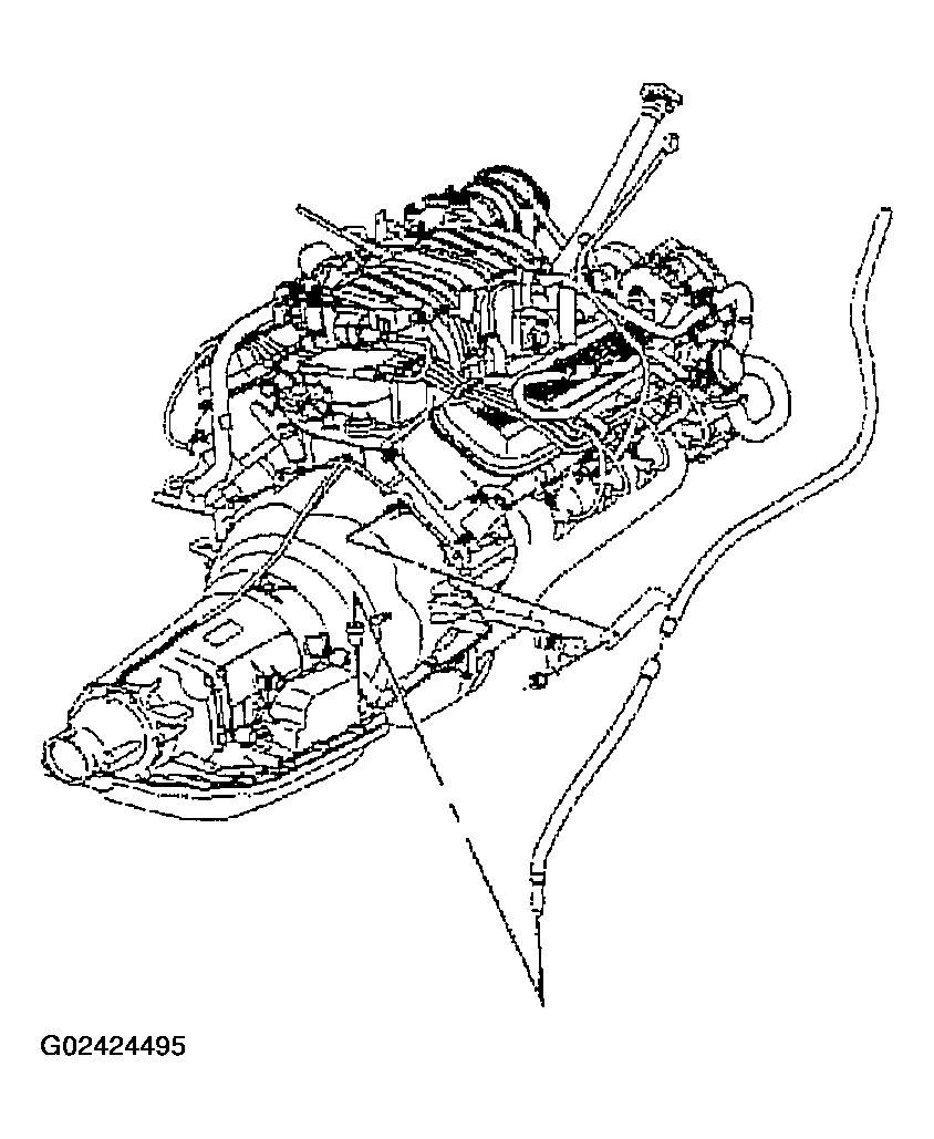 G02424495