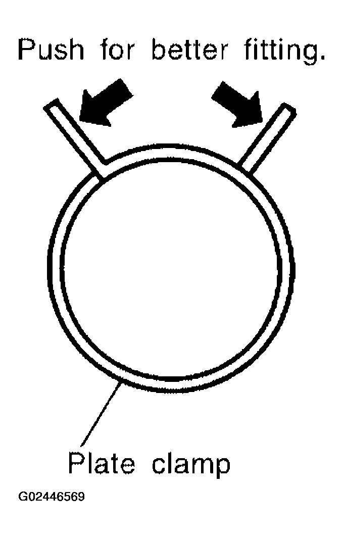 G02446569