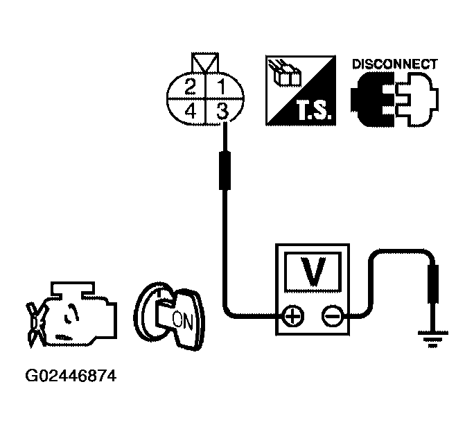 G02446874