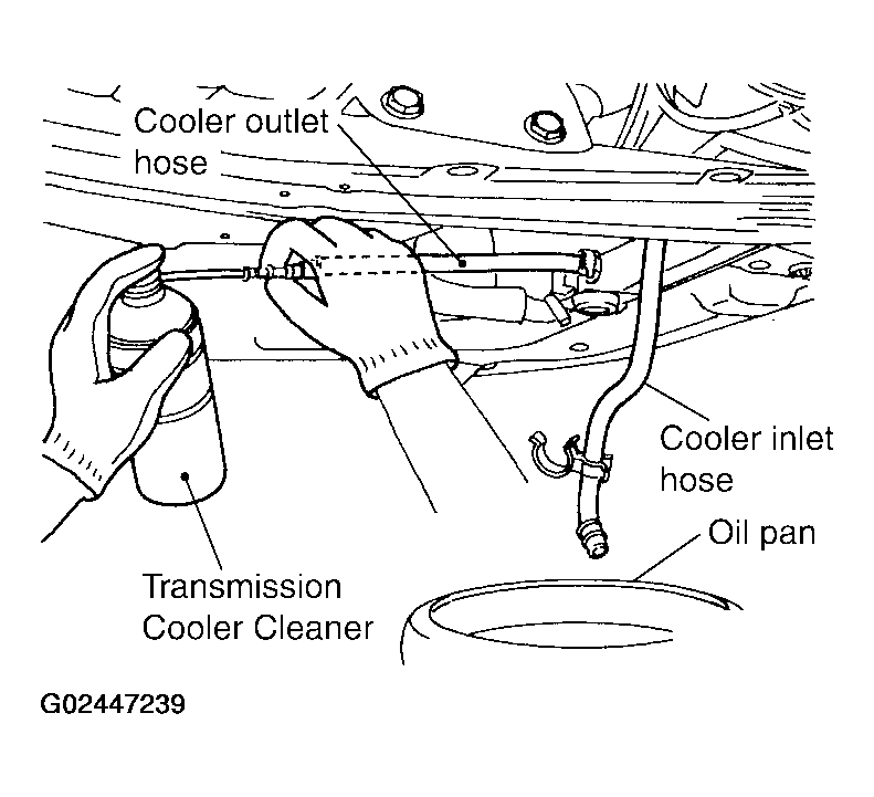 G02447239