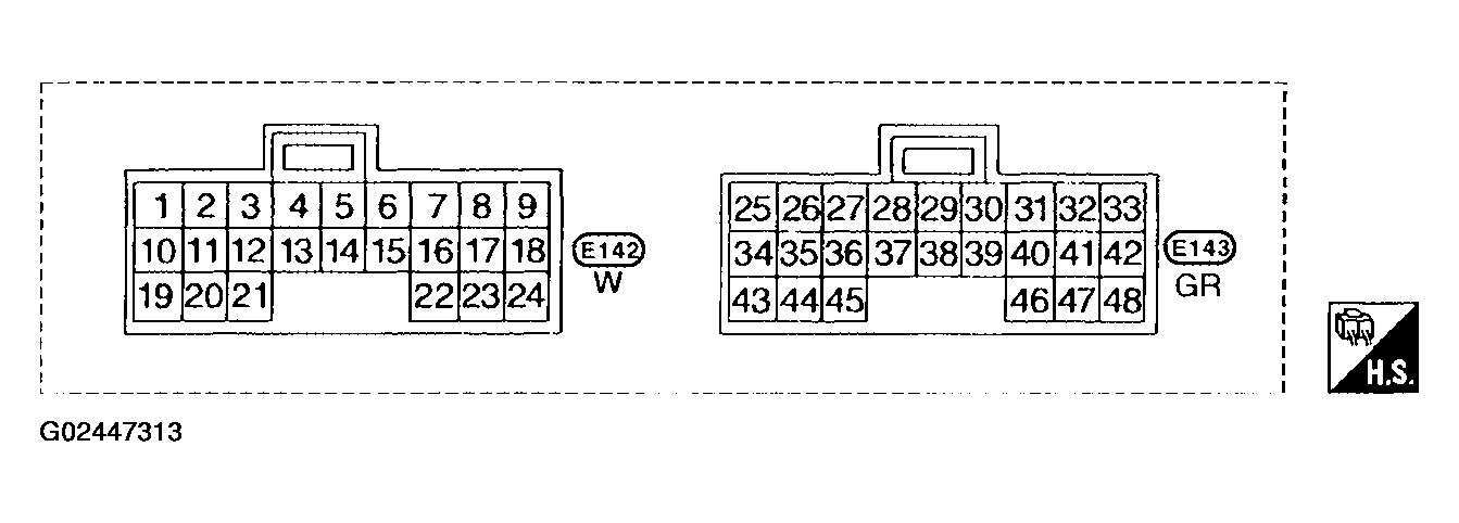 G02447313