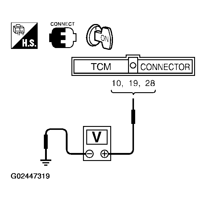 G02447319