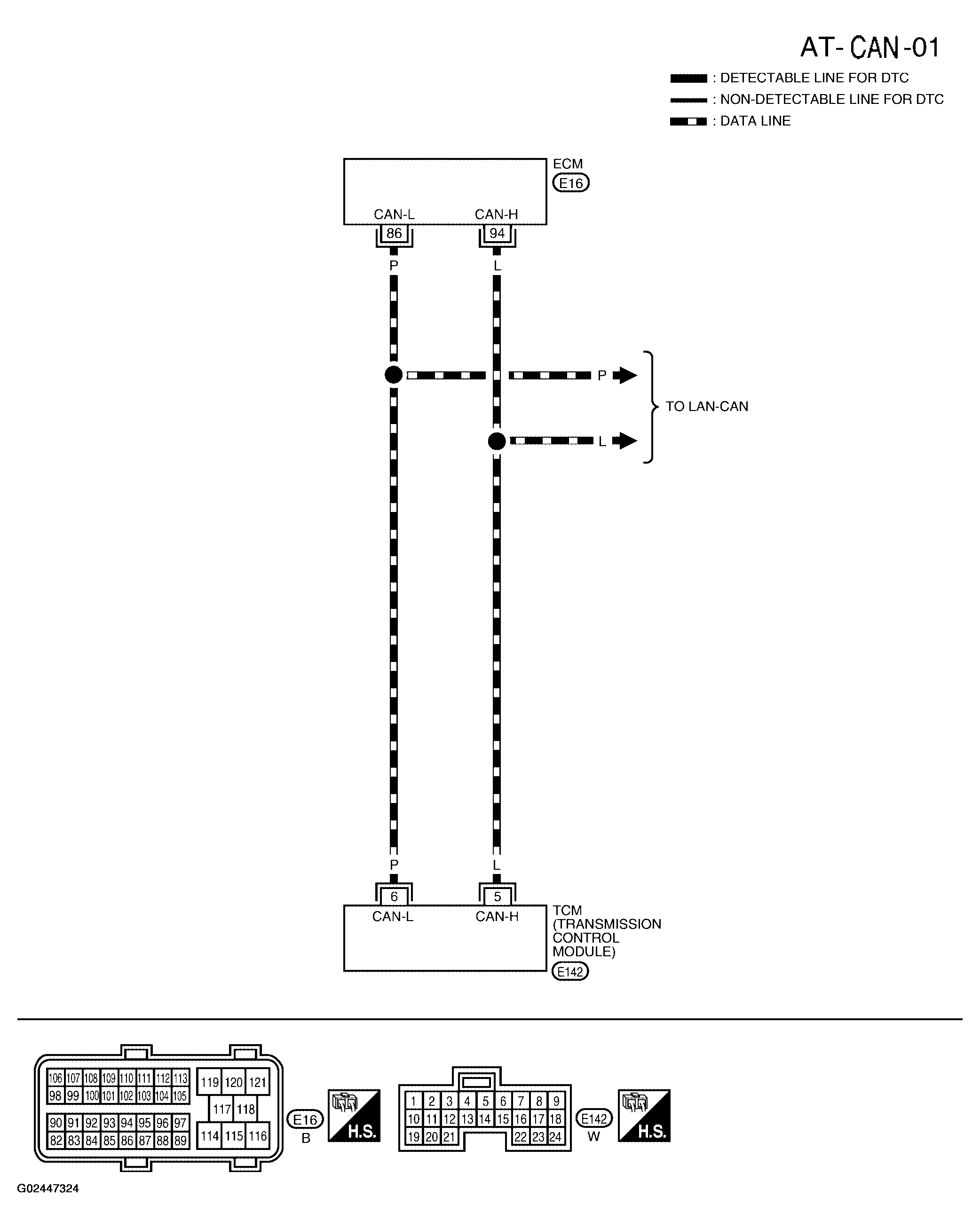 G02447324