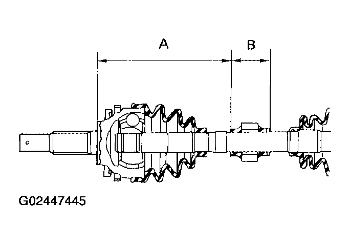 G02447445