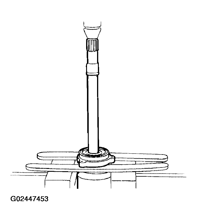 G02447453