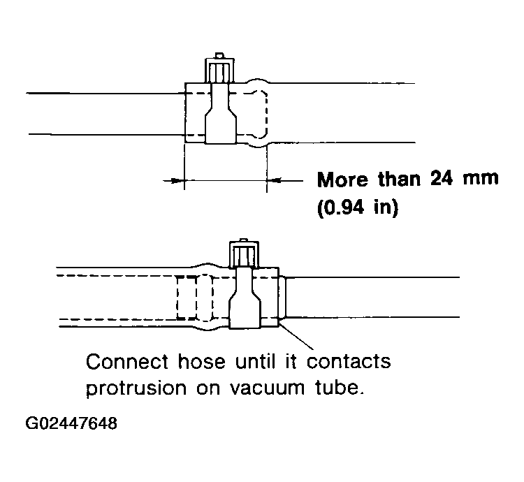 G02447648