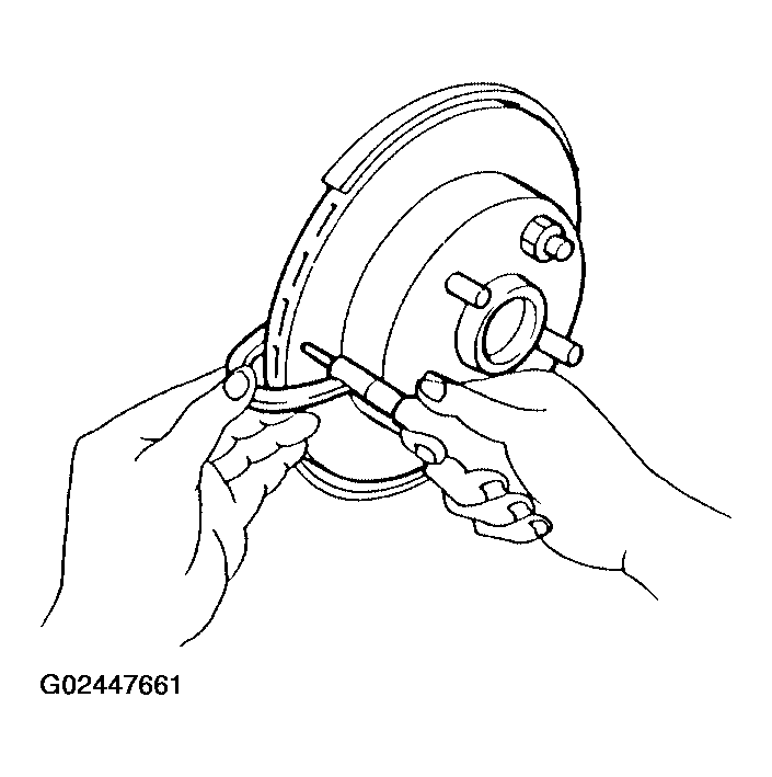 G02447661