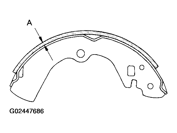 G02447686