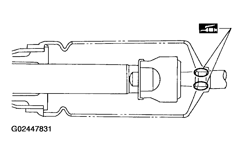 G02447831