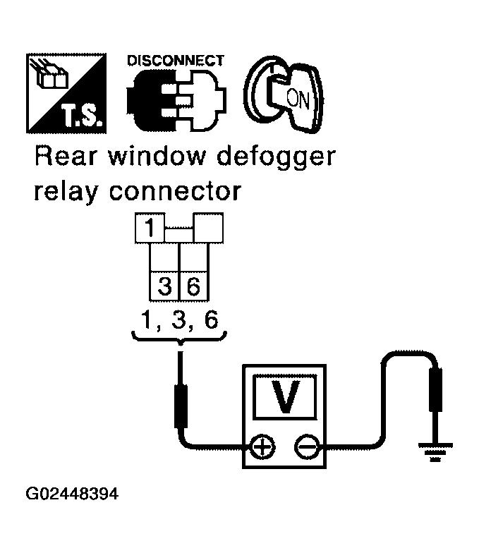 G02448394