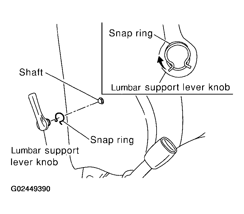 G02449390