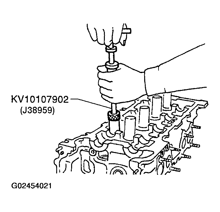 G02454021