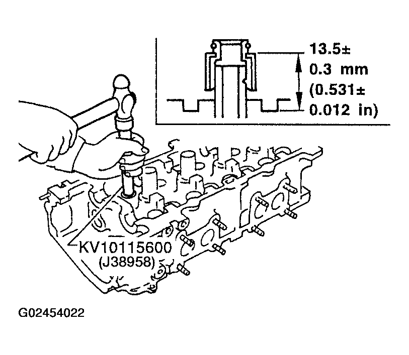 G02454022