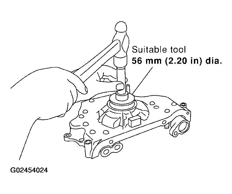 G02454024