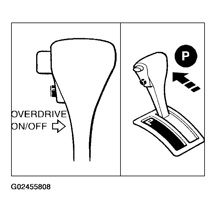 G02455808