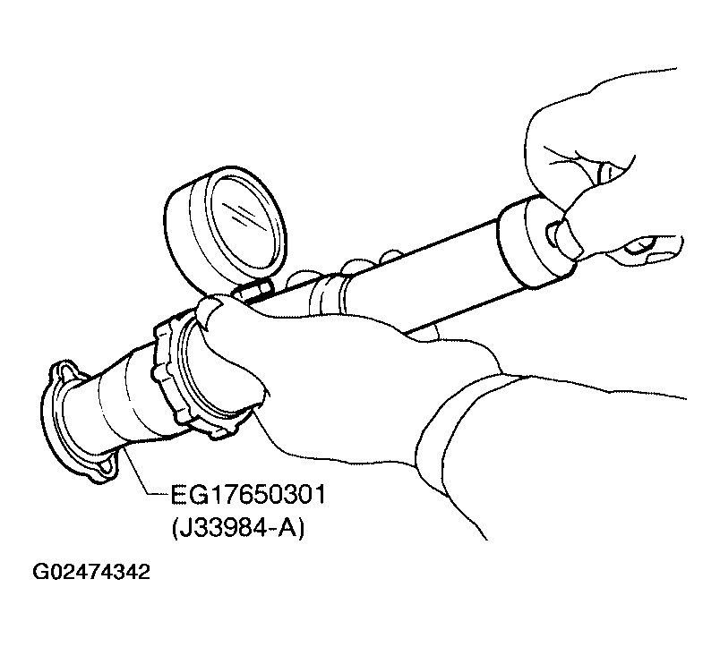 G02474342