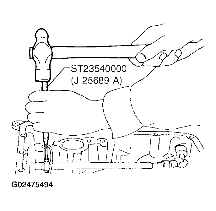 G02475494