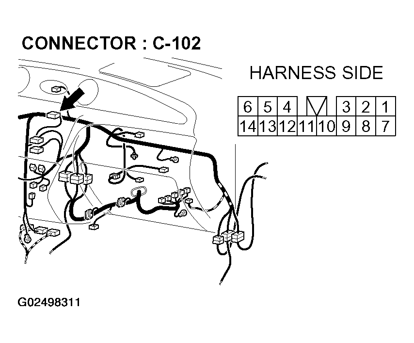 G02498311