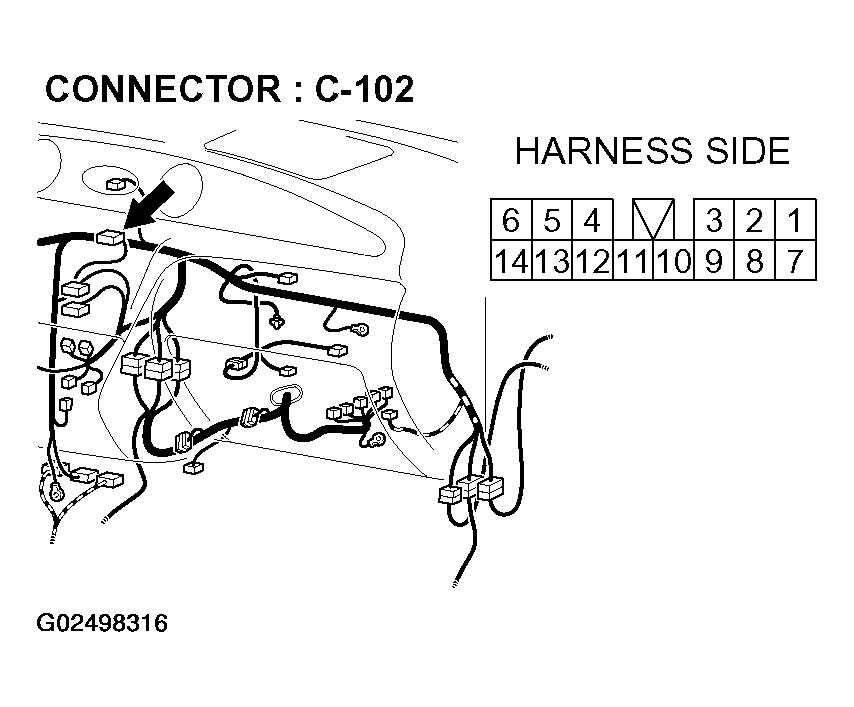G02498316