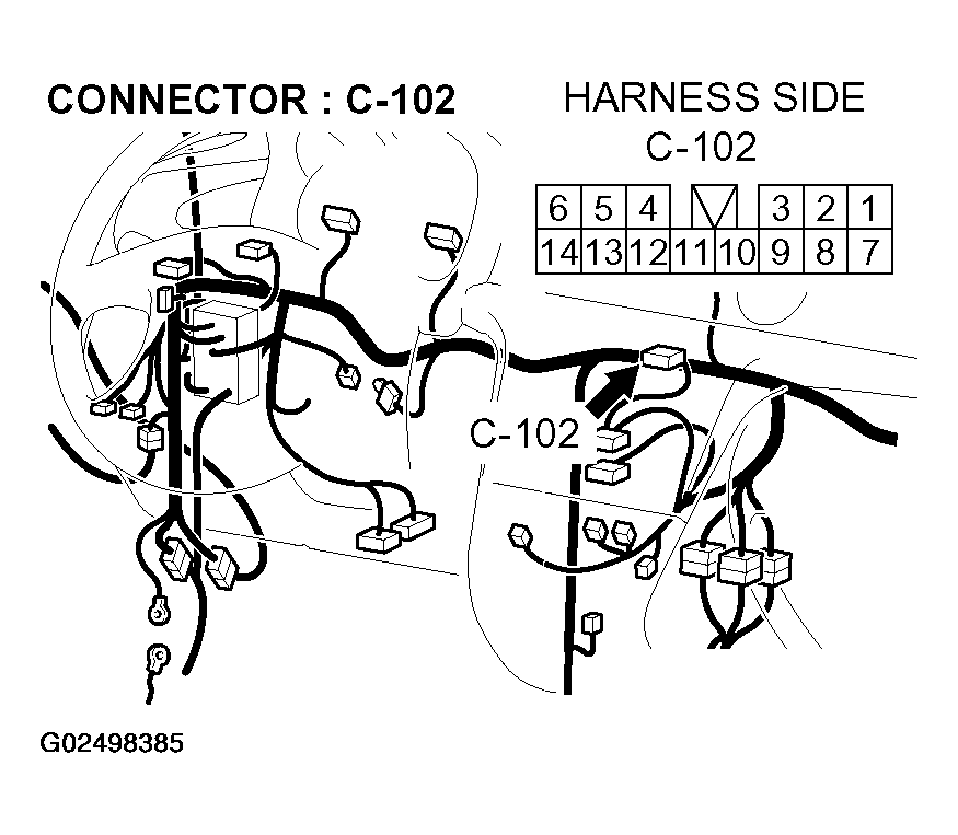 G02498385
