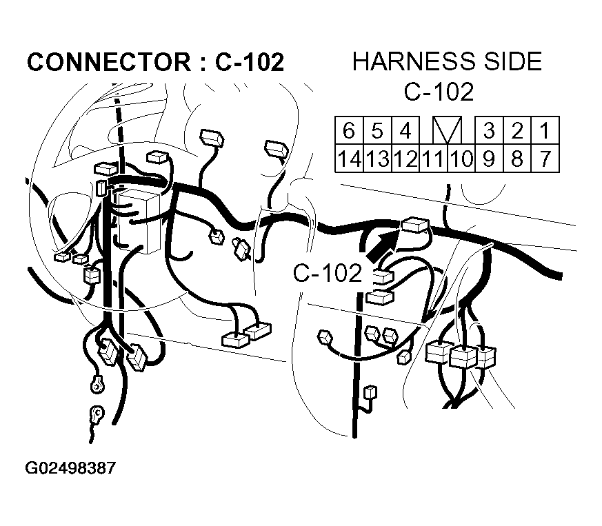 G02498387