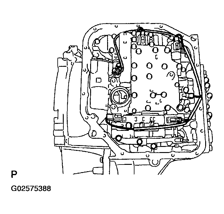 G02575388