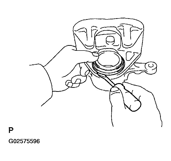G02575596