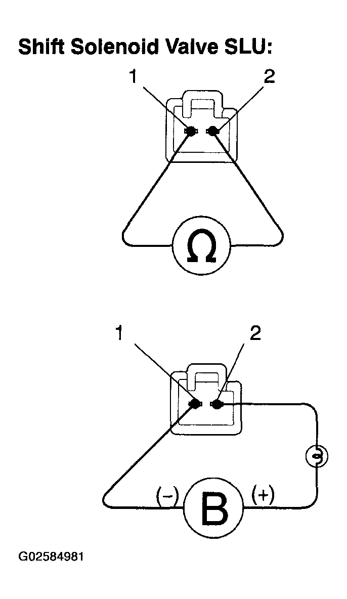 G02584981