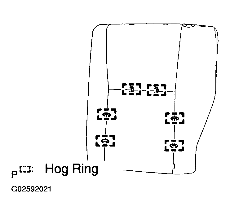 G02592021