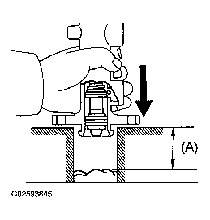 G02593845