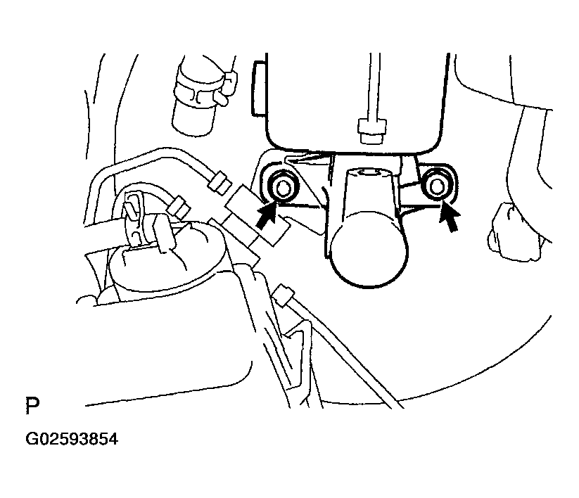 G02593854