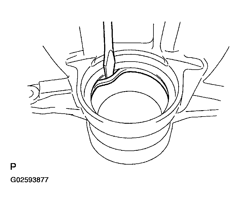 G02593877
