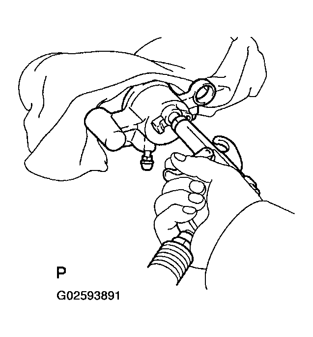 G02593891