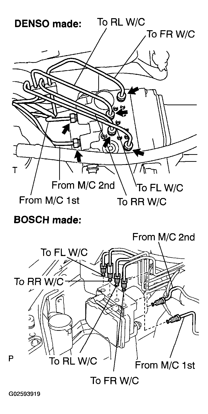 G02593919