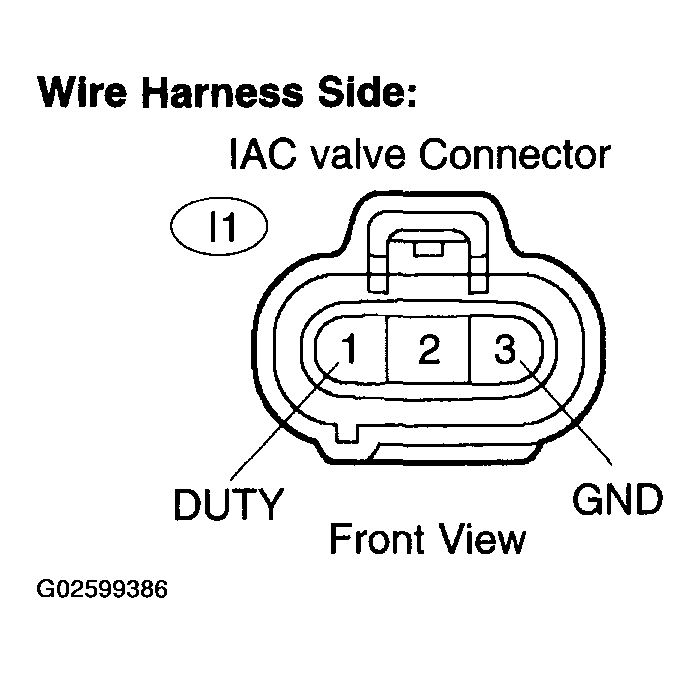G02599386