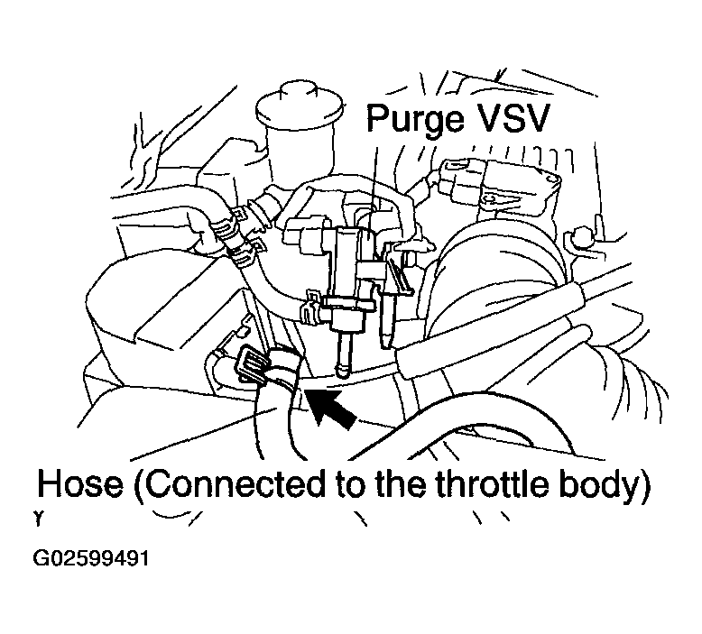 G02599491