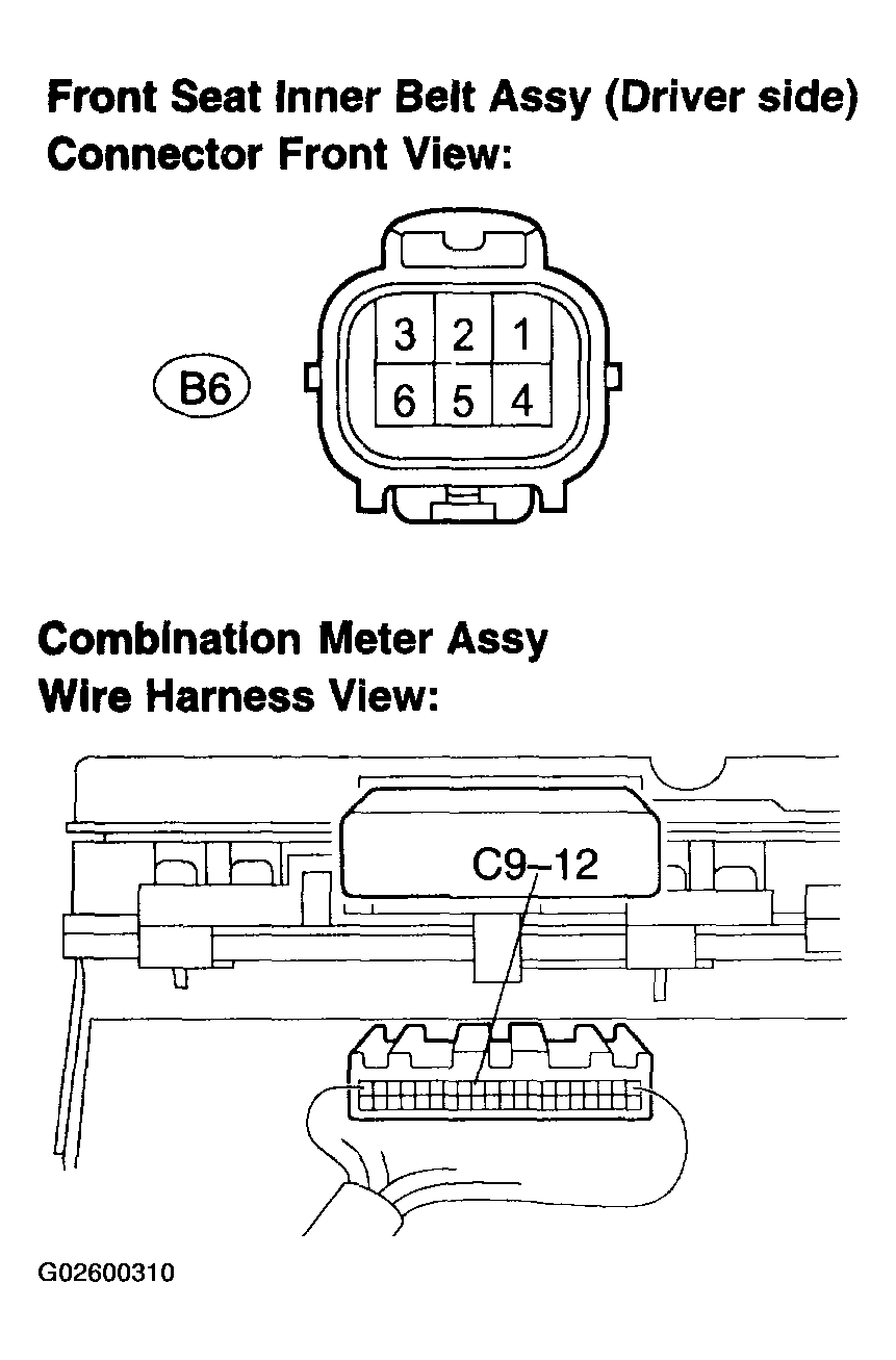 G02600310