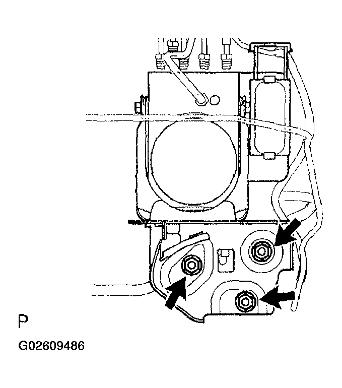 G02609486