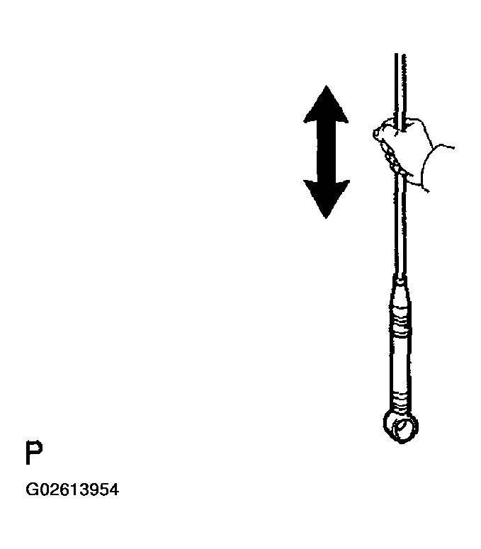 G02613954