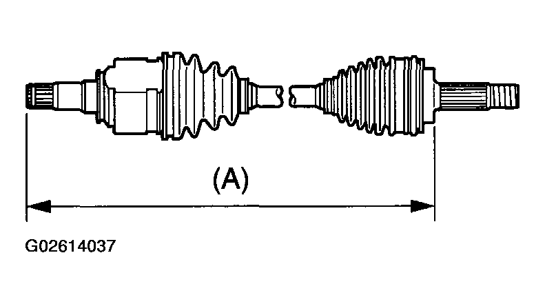 G02614037