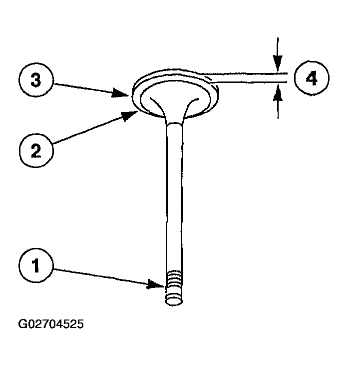 G02704525