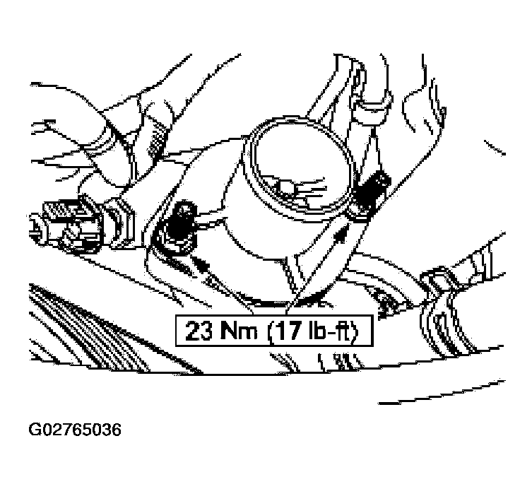 G02765036