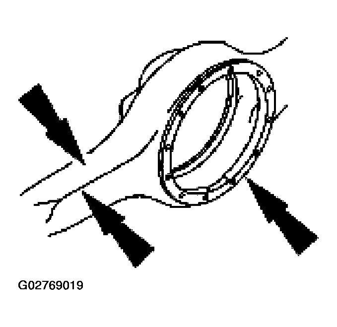 G02769019