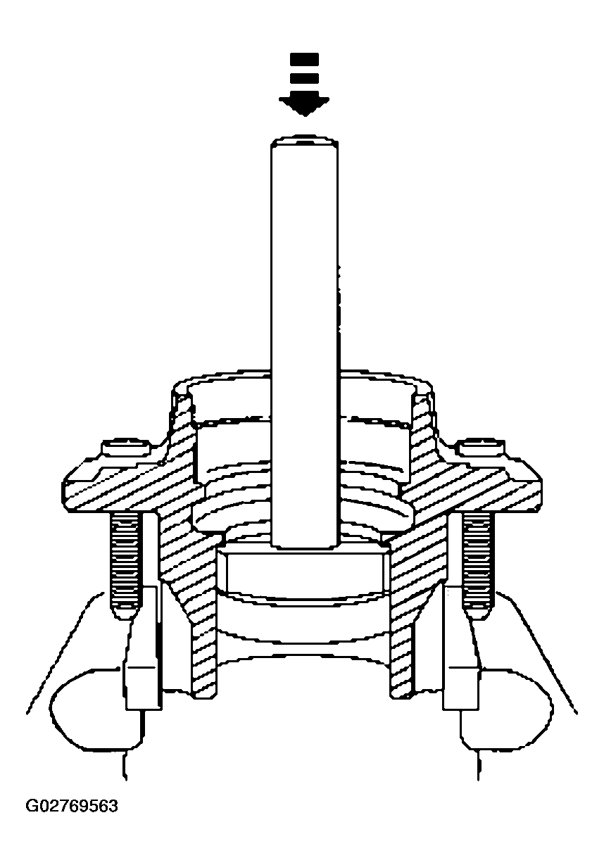 G02769563