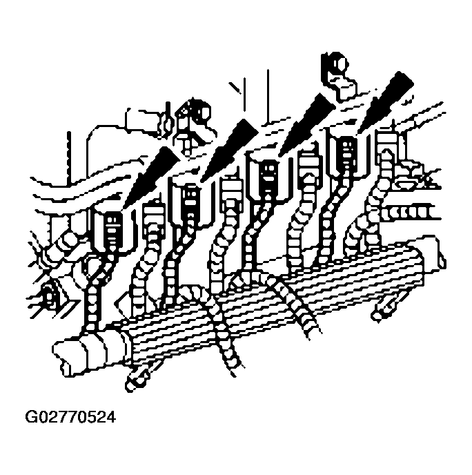 G02770524