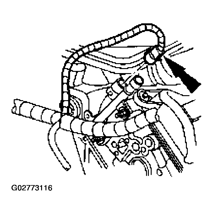 G02773116
