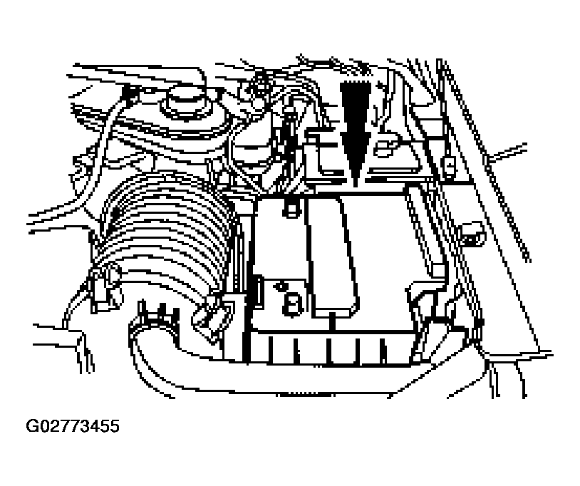 G02773455